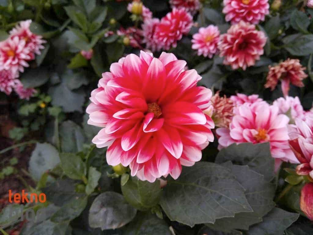 General Mobile GM 6 İncelemesi