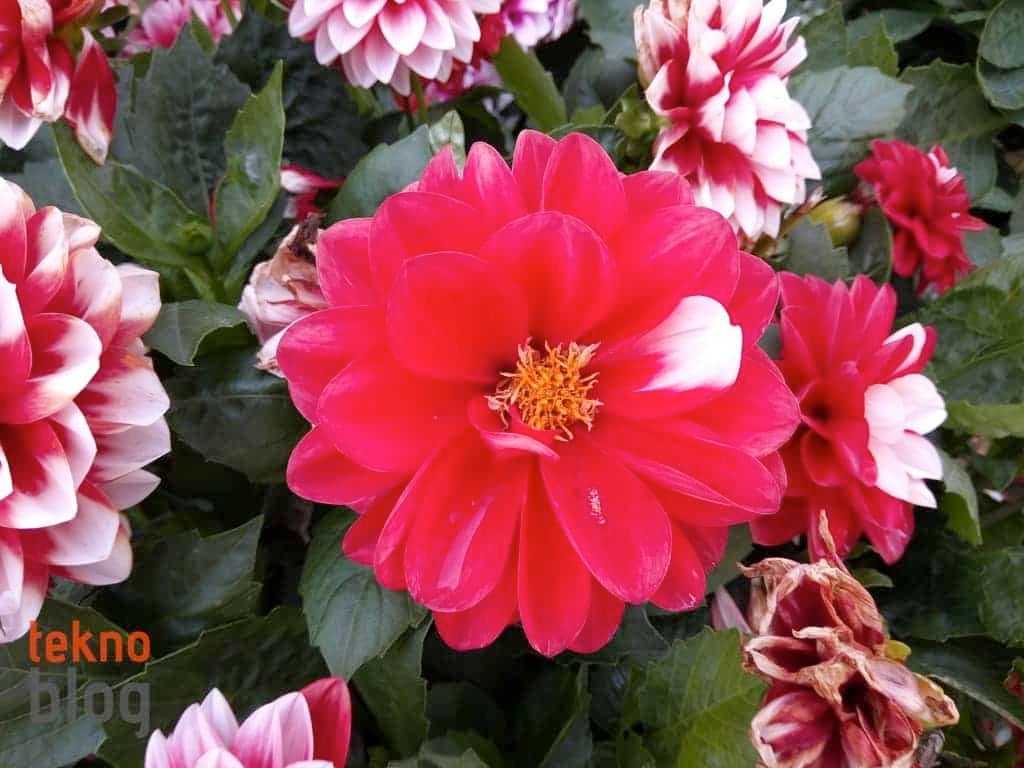 General Mobile GM 6 İncelemesi