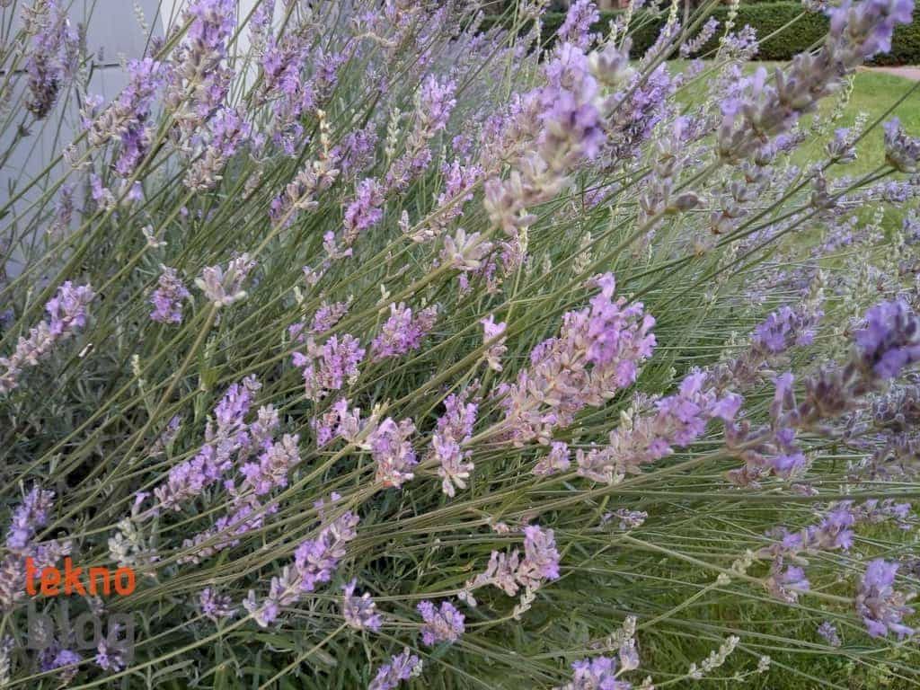 General Mobile GM 6 İncelemesi