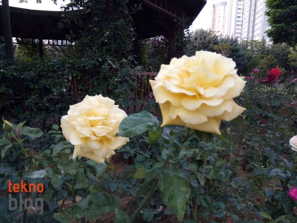 General Mobile GM 6 İncelemesi