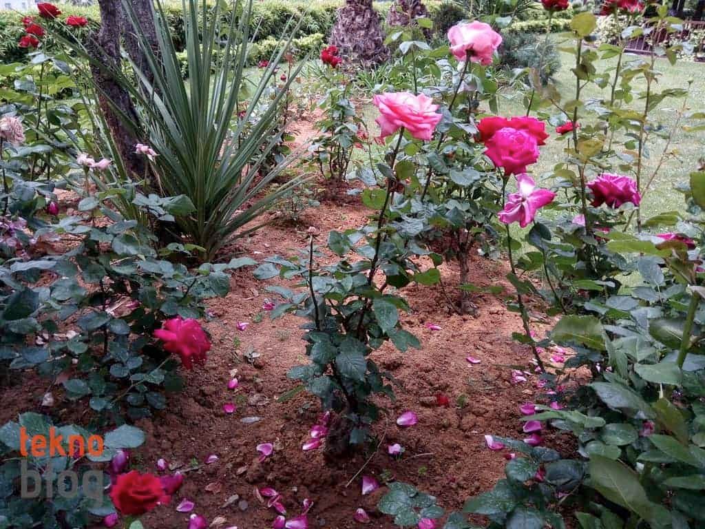 General Mobile GM 6 İncelemesi