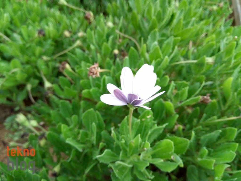 General Mobile GM 6 İncelemesi