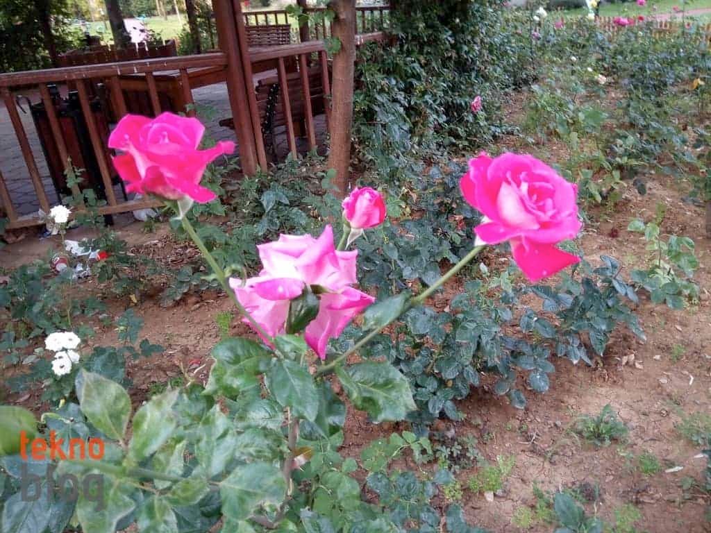 General Mobile GM 6 İncelemesi