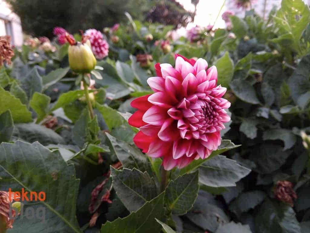 General Mobile GM 6 İncelemesi