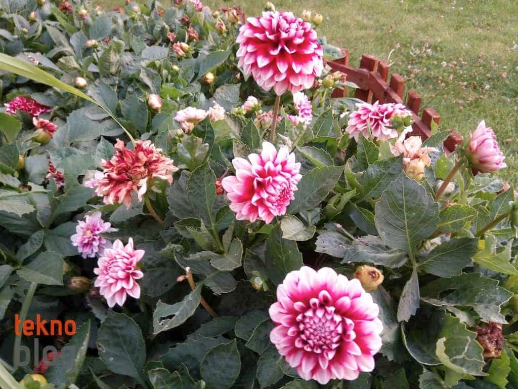 General Mobile GM 6 İncelemesi