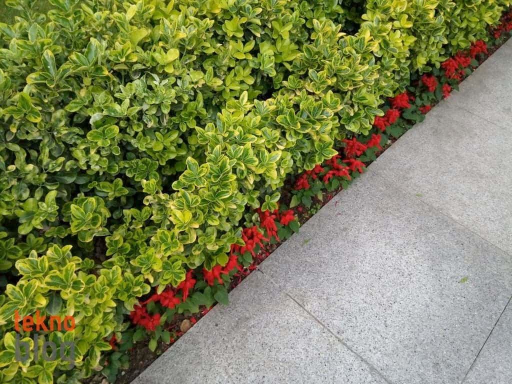 General Mobile GM 6 İncelemesi