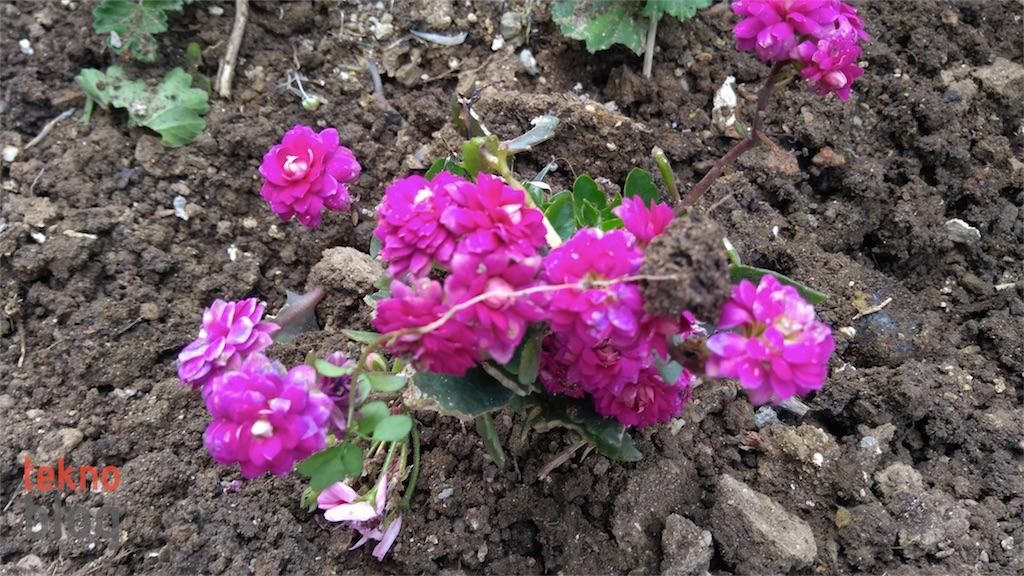 Lenovo P2 İncelemesi