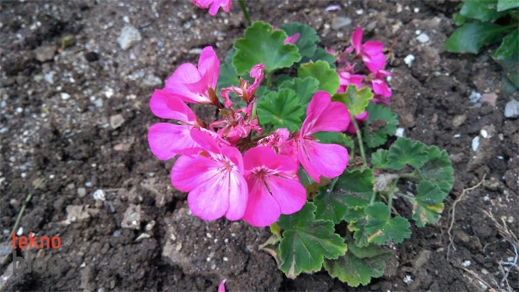 Lenovo P2 İncelemesi