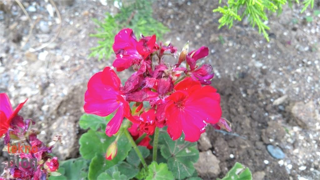 Lenovo P2 İncelemesi