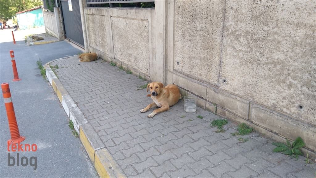 Lenovo P2 İncelemesi