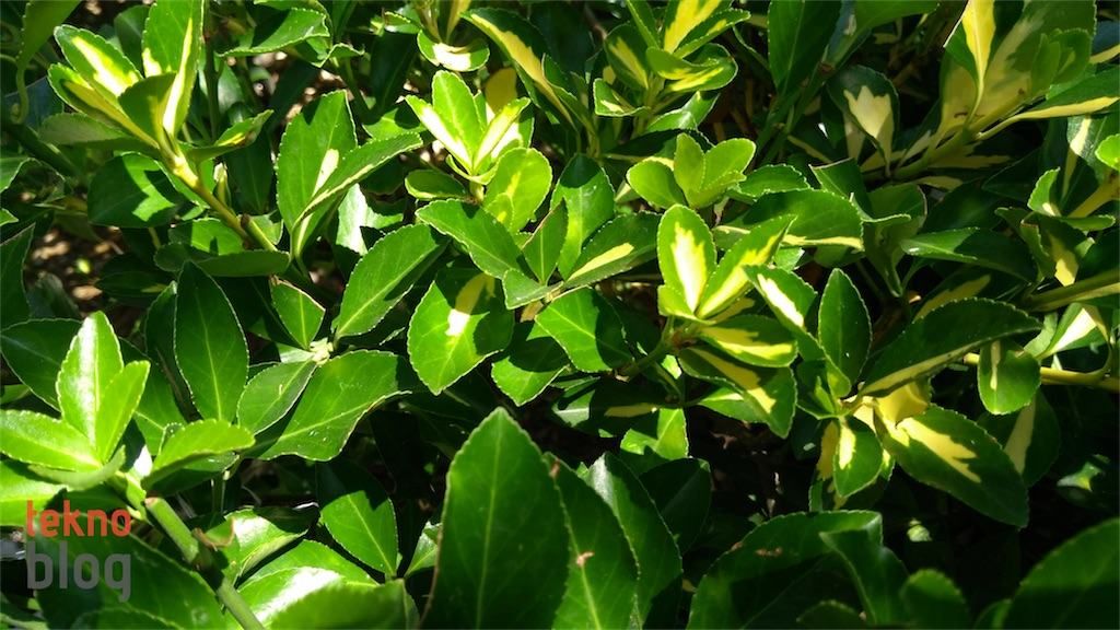 Lenovo P2 İncelemesi