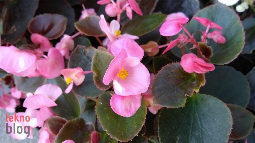 Lenovo P2 İncelemesi