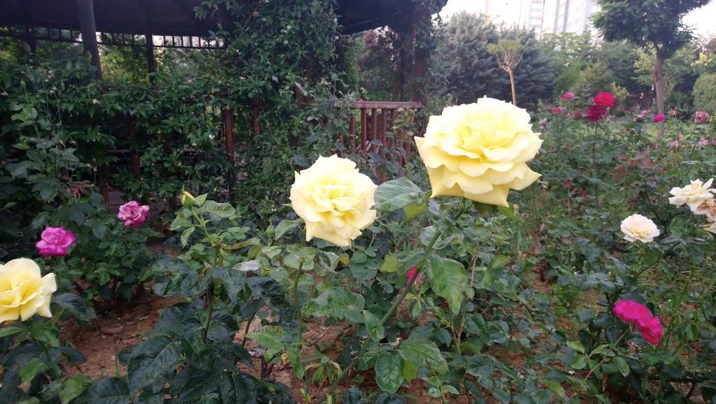 Sony Xperia XA1 Ultra İncelemesi