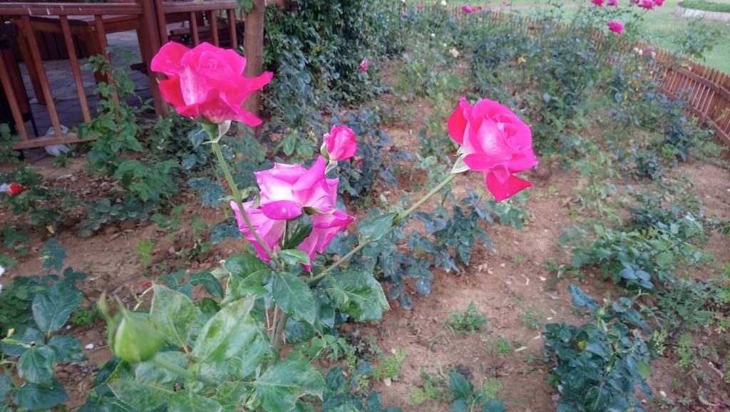 Sony Xperia XA1 Ultra İncelemesi