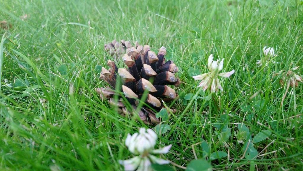 Sony Xperia XA1 Ultra İncelemesi