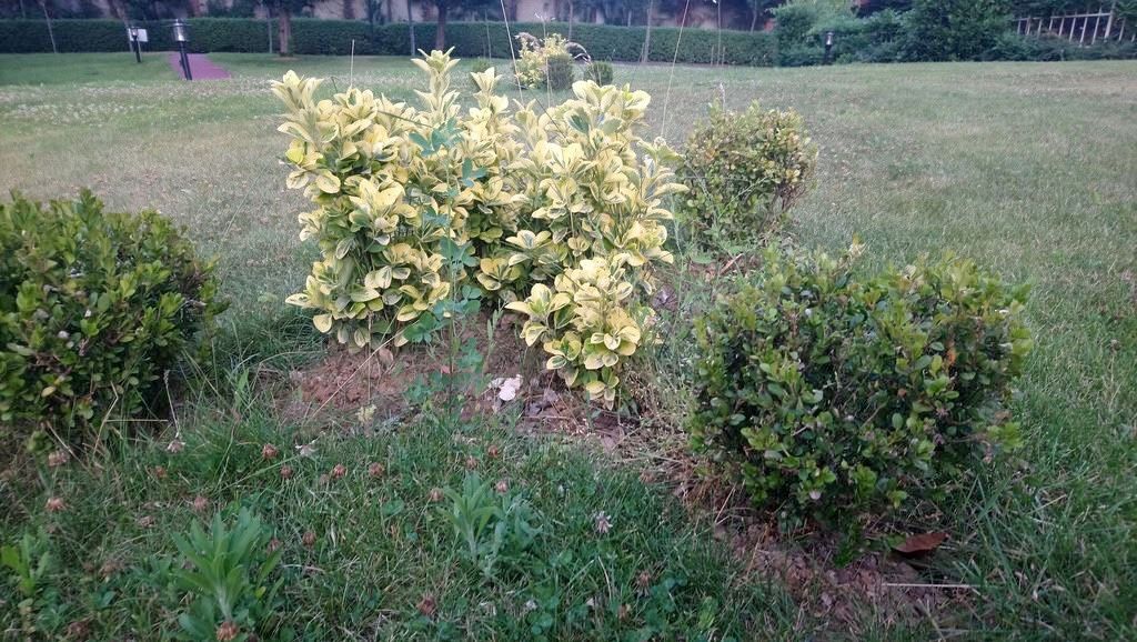 Sony Xperia XA1 Ultra İncelemesi