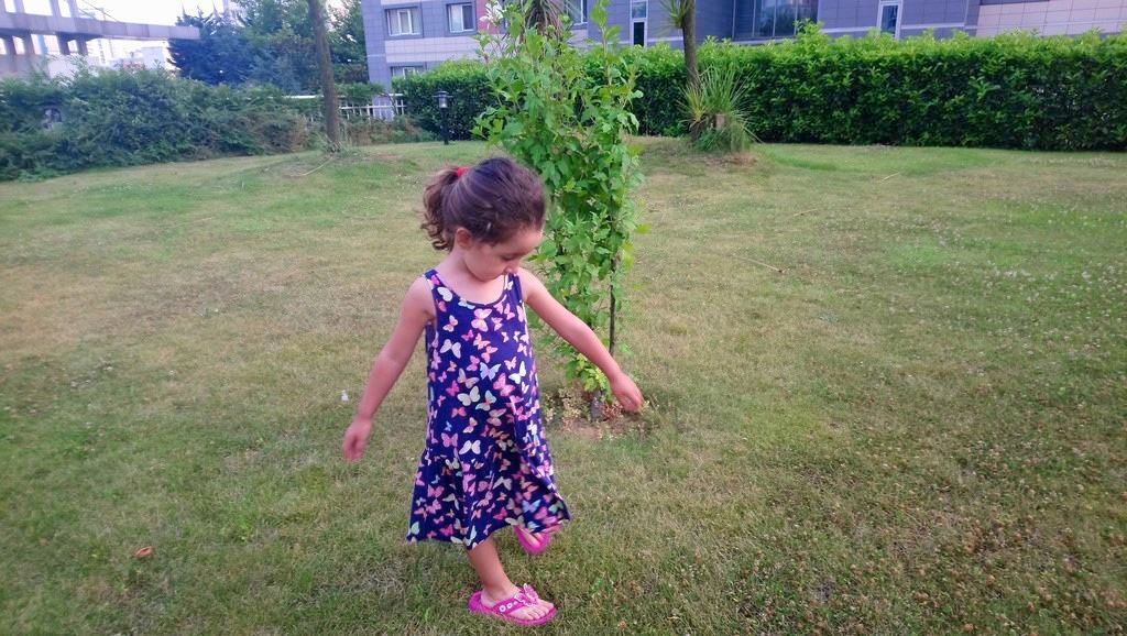 Sony Xperia XA1 Ultra İncelemesi