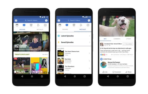 Facebook Watch düzenli yayınlanan içerikleri bir araya getiriyor