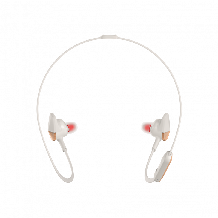 fitbit flyer