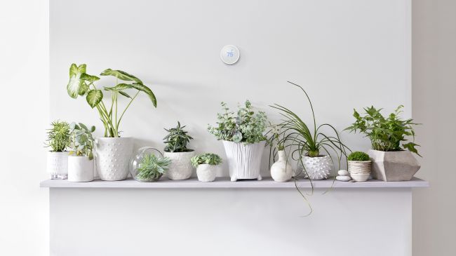 Nest Thermostat E uygun fiyat karşılığında enerji tasarrufu imkânı sunuyor