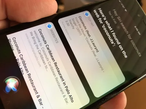 Apple Siri ile yapılacak aramalarda Bing yerine Google’ı kullanacak