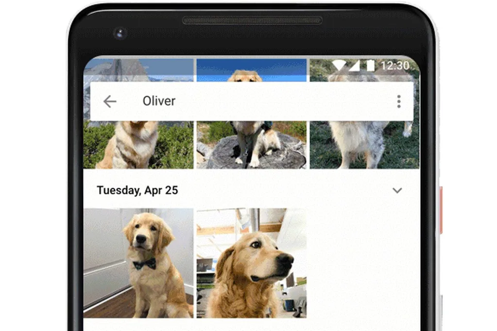 Google Fotoğraflar şimdi evcil hayvanları da tanıyor