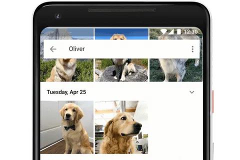 Google Fotoğraflar şimdi evcil hayvanları da tanıyor