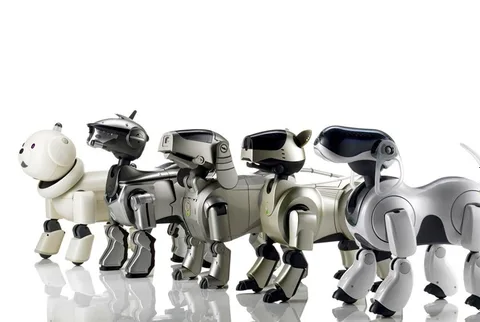 Sony yeni robot köpeğini önümüzdeki ay tanıtabilir