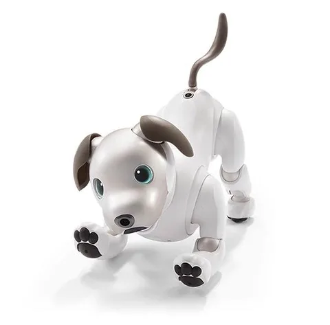 Sony yeni Aibo robot köpeğini tanıttı