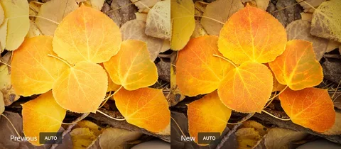 Adobe Lightroom yapay zekâ desteğiyle otomatik düzenlemeyi güzelleştiriyor