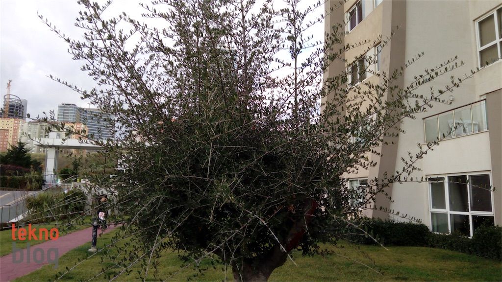 Alcatel A3 İncelemesi