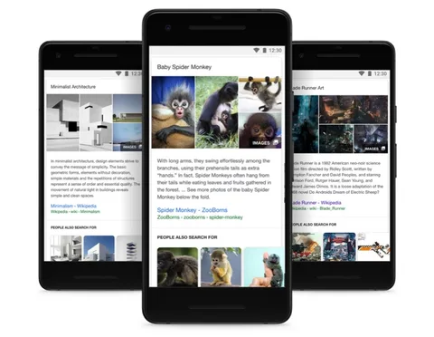 Google arama sonuçları üzerinden ilgili bilgilere ulaşmayı kolaylaştırıyor