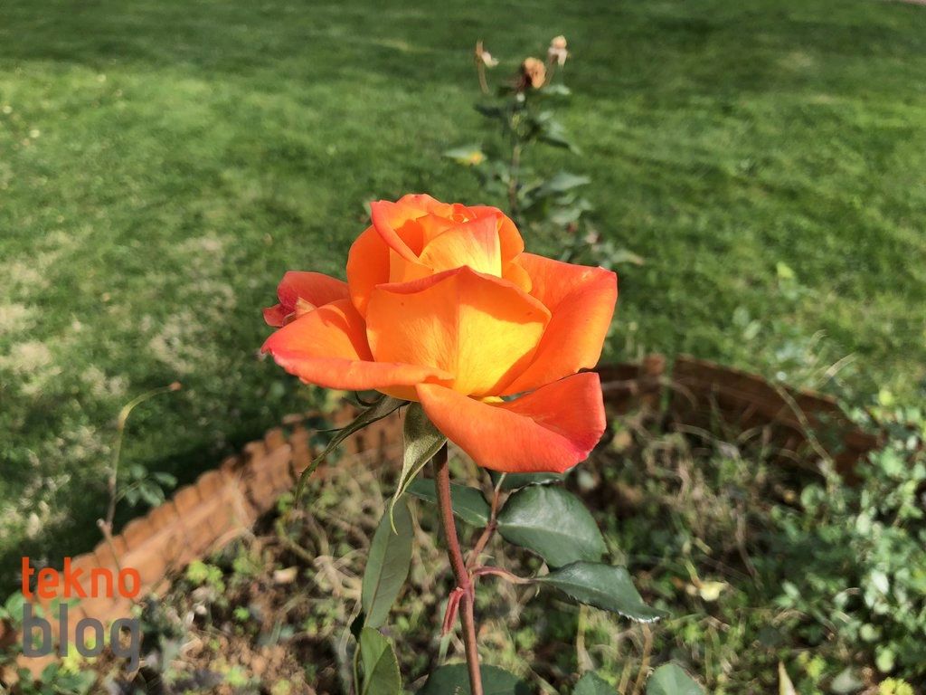 iPhone X İncelemesi