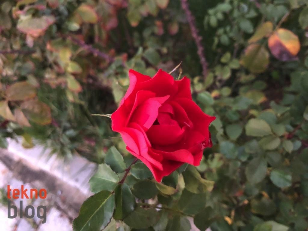 iPhone X İncelemesi