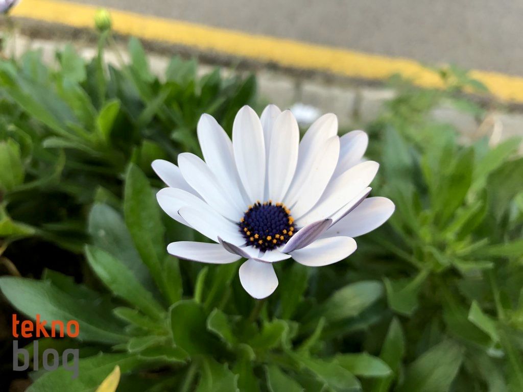 iPhone X İncelemesi