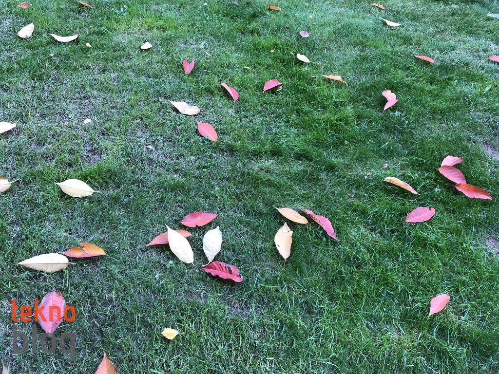 iPhone X İncelemesi