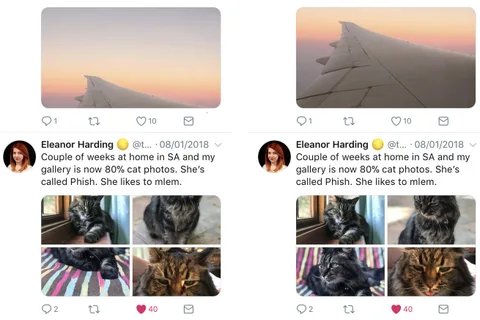 Twitter fotoğrafların en ilgi çekici noktalarını kırpmak için yapay zekâdan yardım alıyor