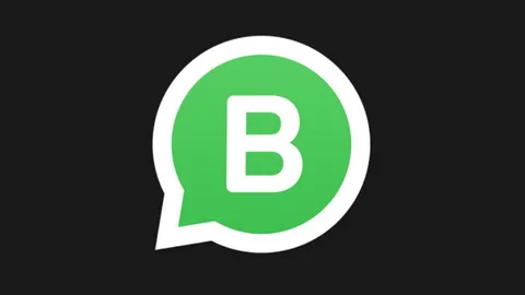WhatsApp Business uygulamasının Windows 10 Mobile versiyonu hazırlanıyor