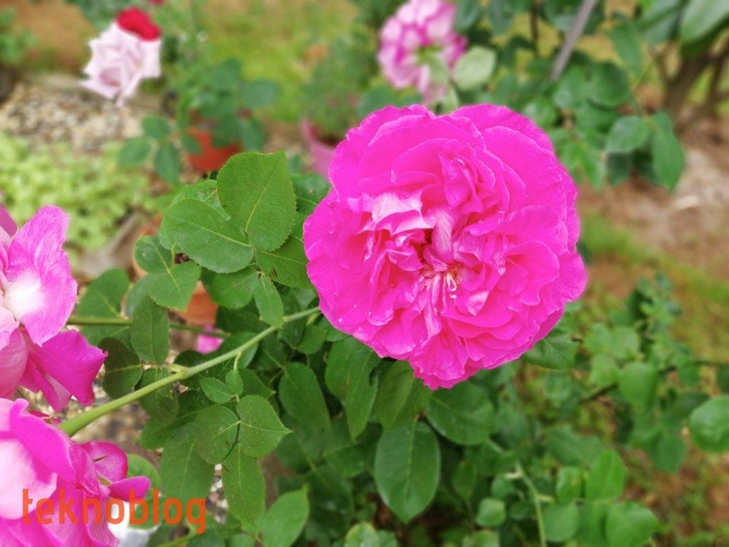 Huawei P20 lite İncelemesi