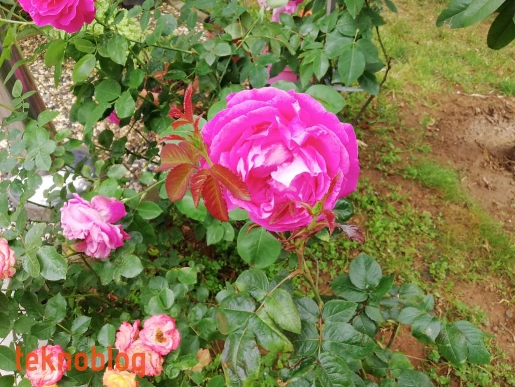 Huawei P20 lite İncelemesi