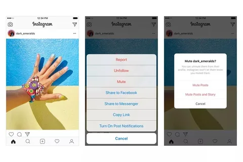 Instagram istediğiniz hesabı sessize almanıza izin verecek
