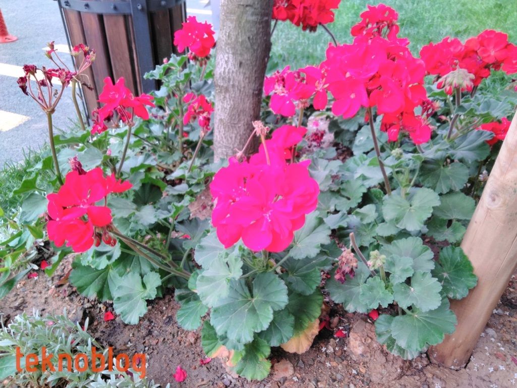 Vestel Venus Z20 İncelemesi