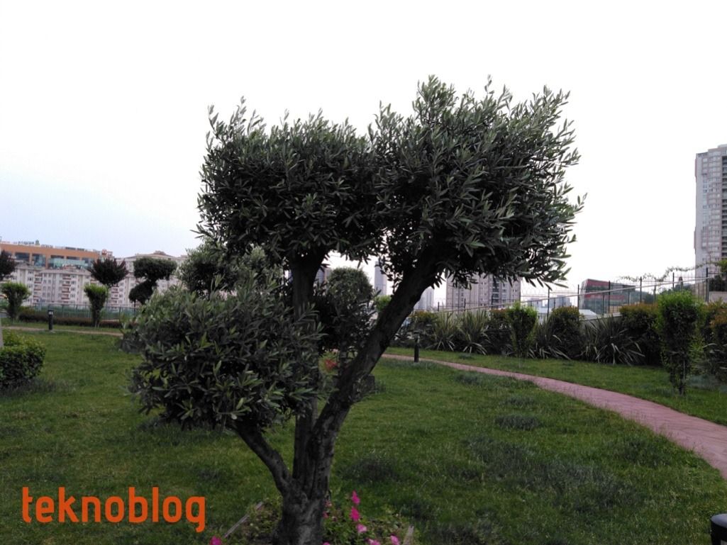 Vestel Venus Z20 İncelemesi