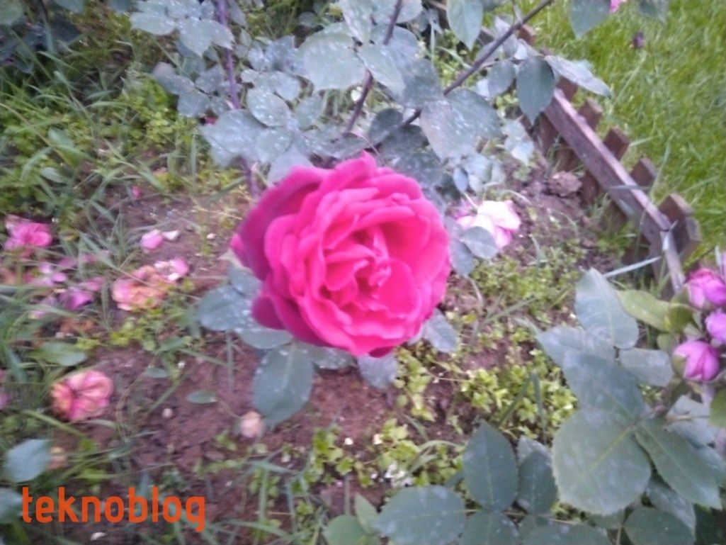 Vestel Venus Z20 İncelemesi