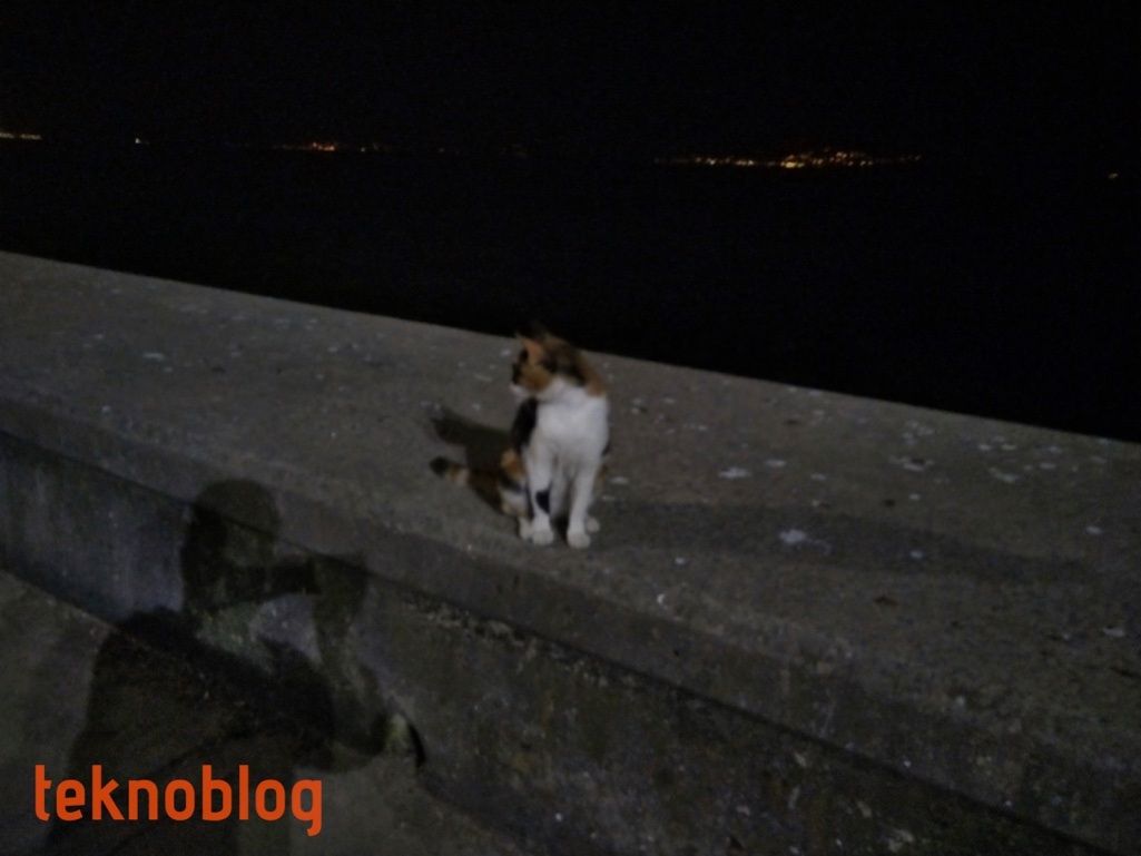 Vestel Venus Z20 İncelemesi