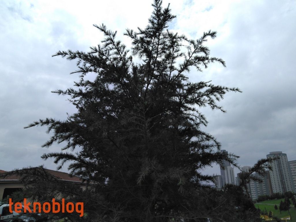 Vestel Venus Z20 İncelemesi