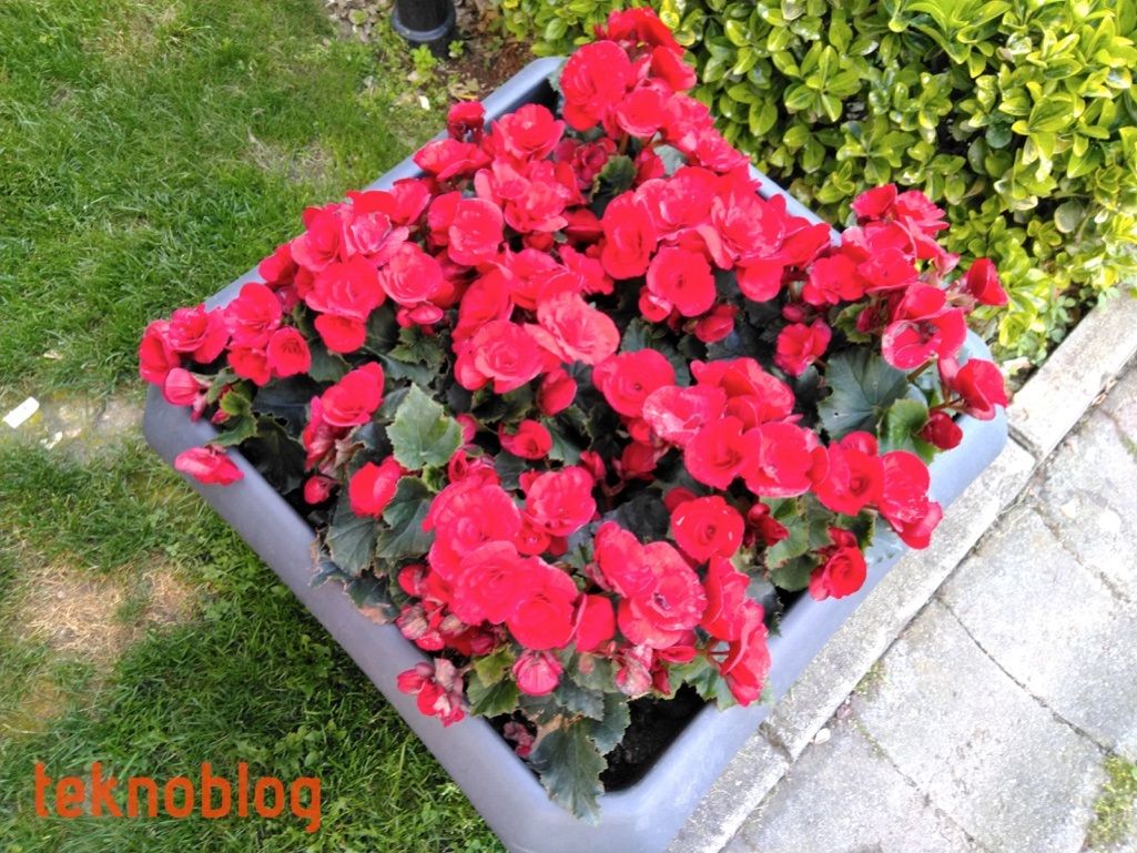 Vestel Venus Z20 İncelemesi