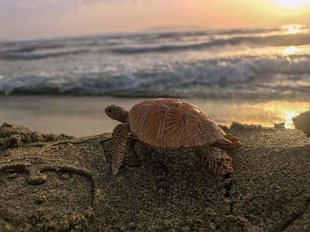 apple gün batımı fotoğrafları