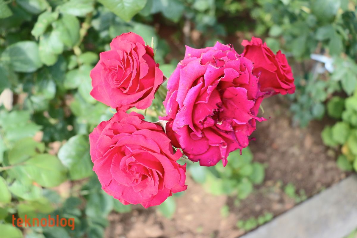 Canon EOS 200D İncelemesi