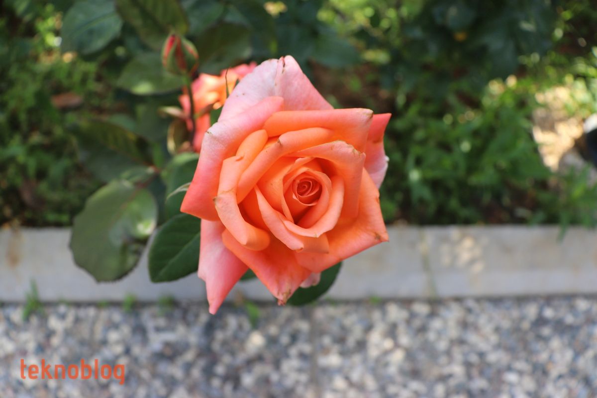 Canon EOS 200D İncelemesi